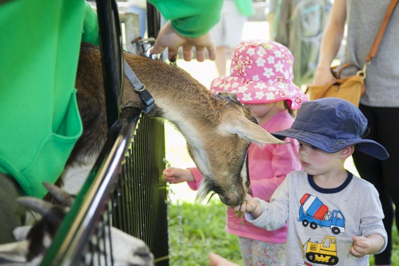Enjoy a Day on the Farm at Frying Pan Farm Park Park Authority